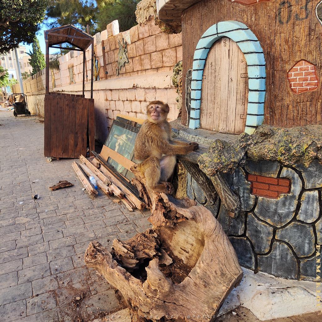 VOYAGE 20230929_173121 MOSTAGANEM.jpg